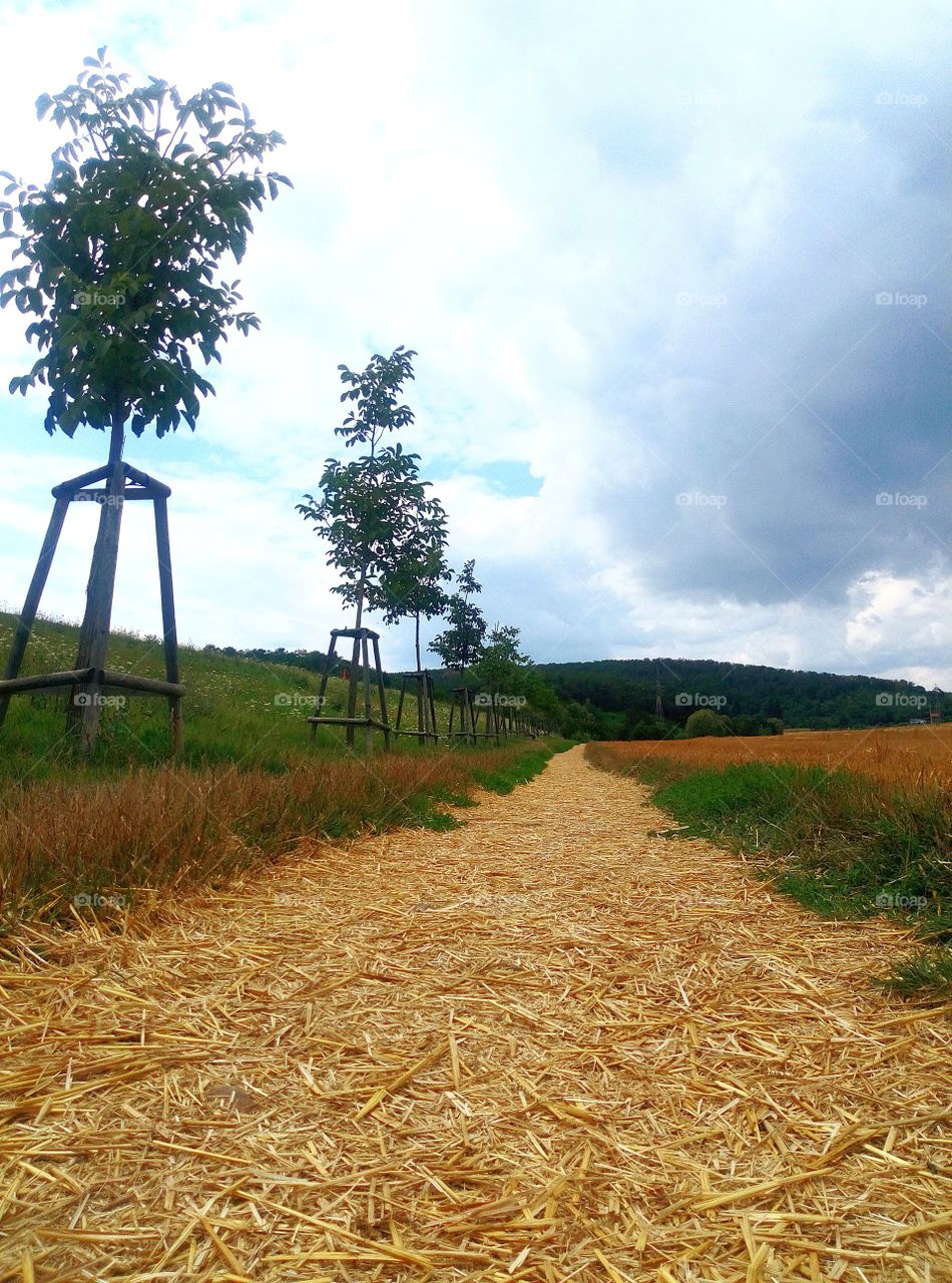 Straw path