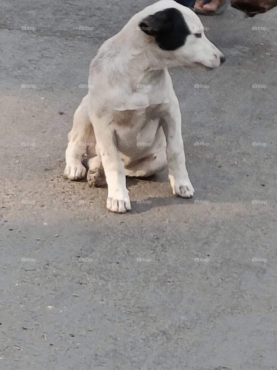 busy for self caring!