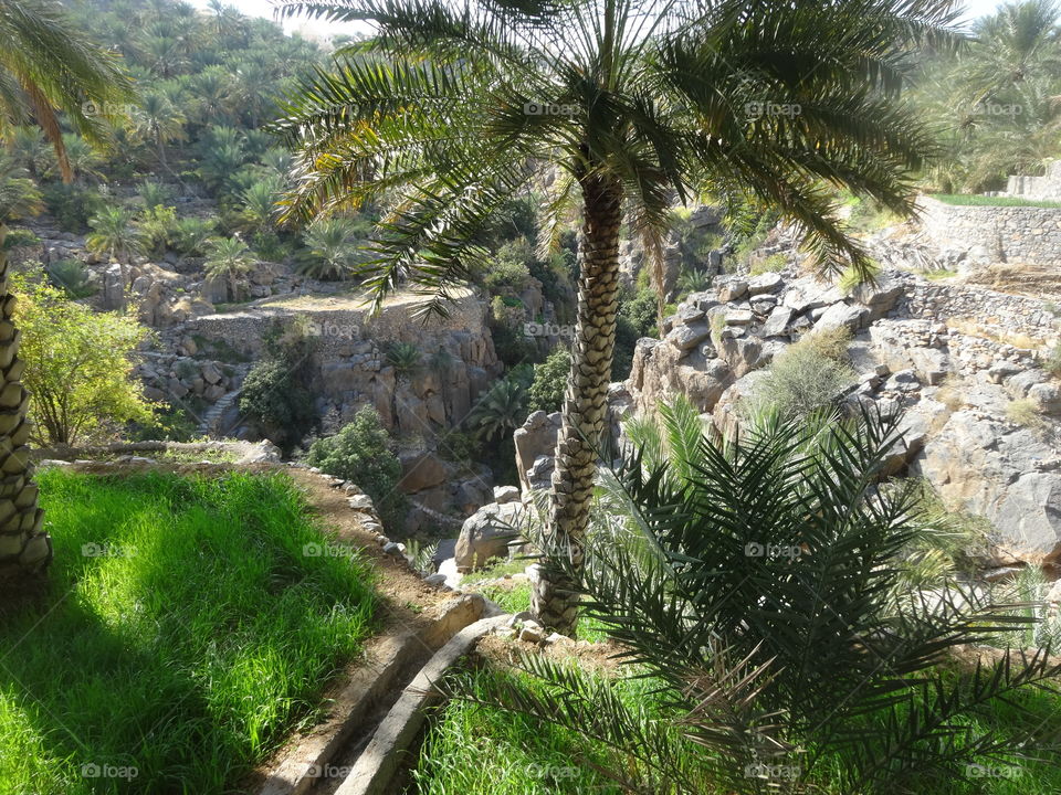 landscape of Oman