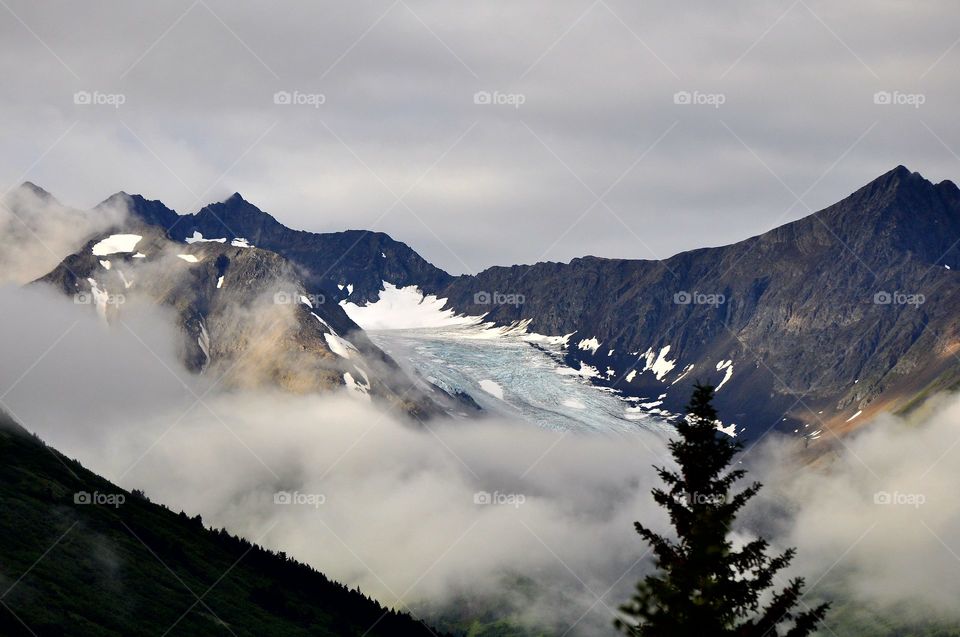 Foggy Alaska