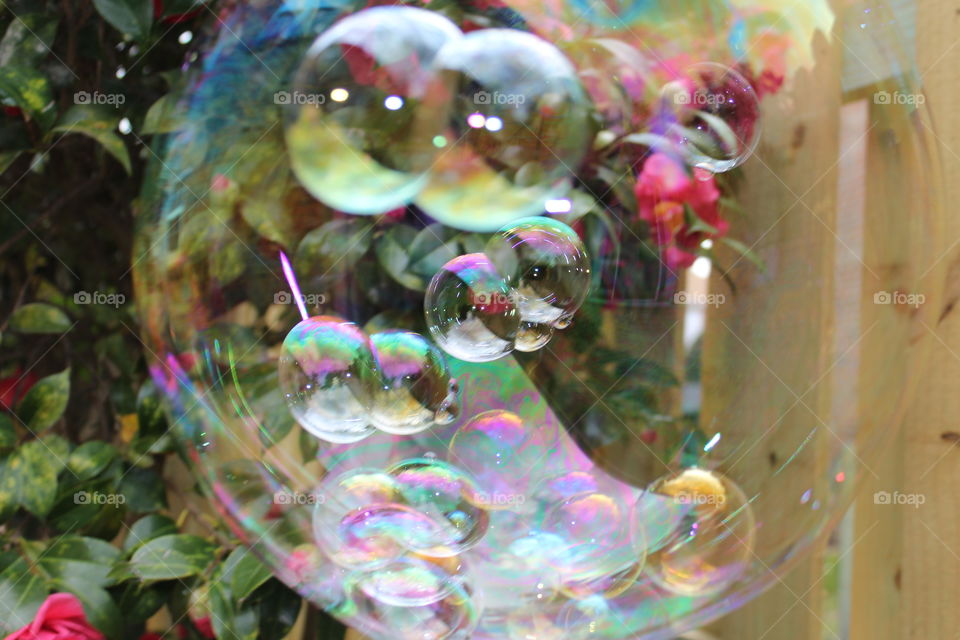 bubbles with bubbles