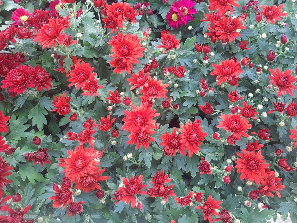 Please make me happy, I am poor, I need your help with support