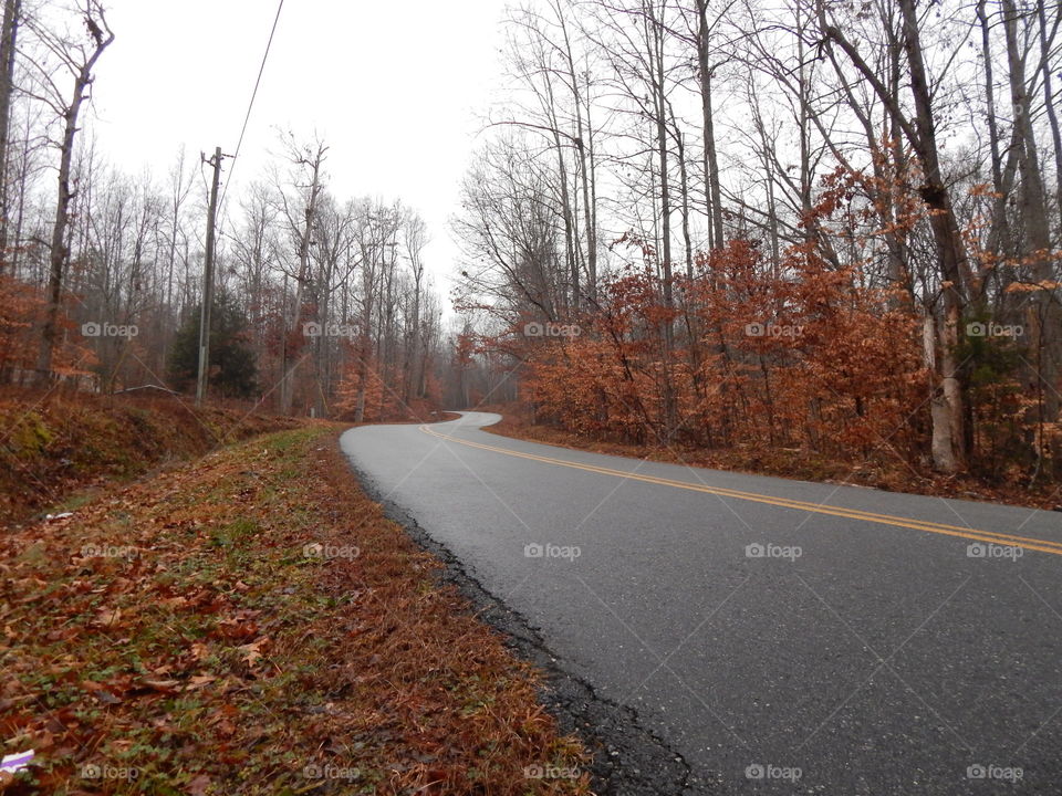 Georgia county road in the fall
