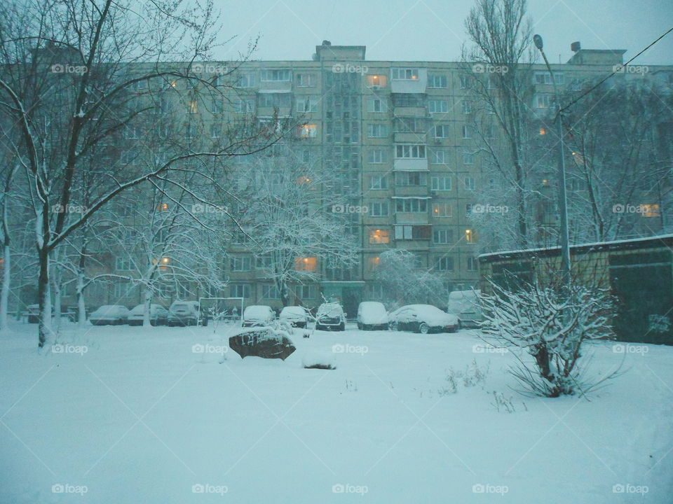 winter in the city of Kiev, Ukraine