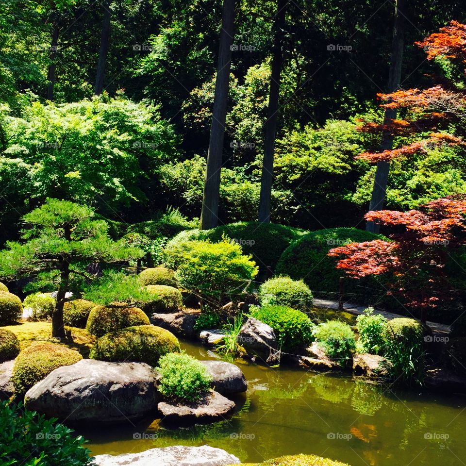 Mimroto Japanese garden 