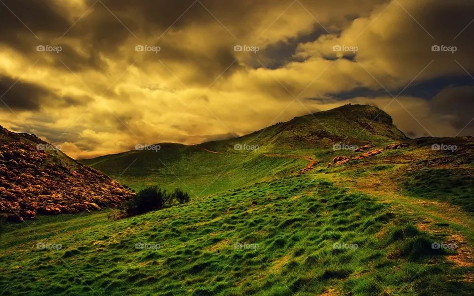 nature