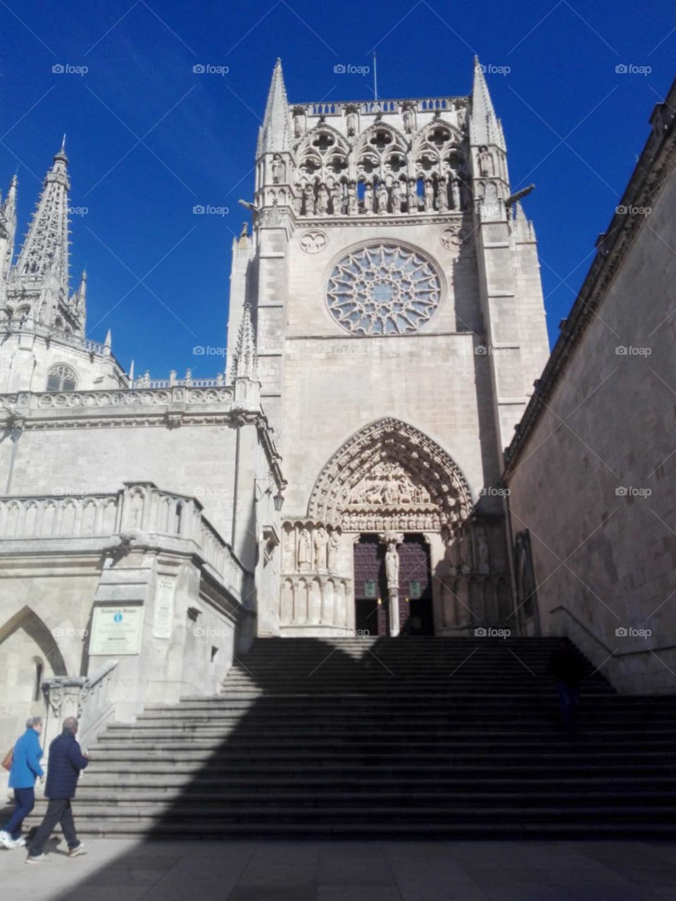 catedral