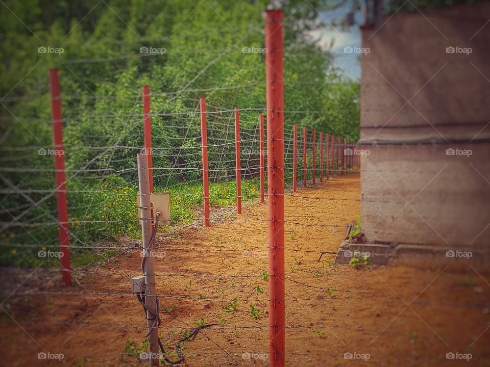 Fence with red pillars and barbed wire under the current.