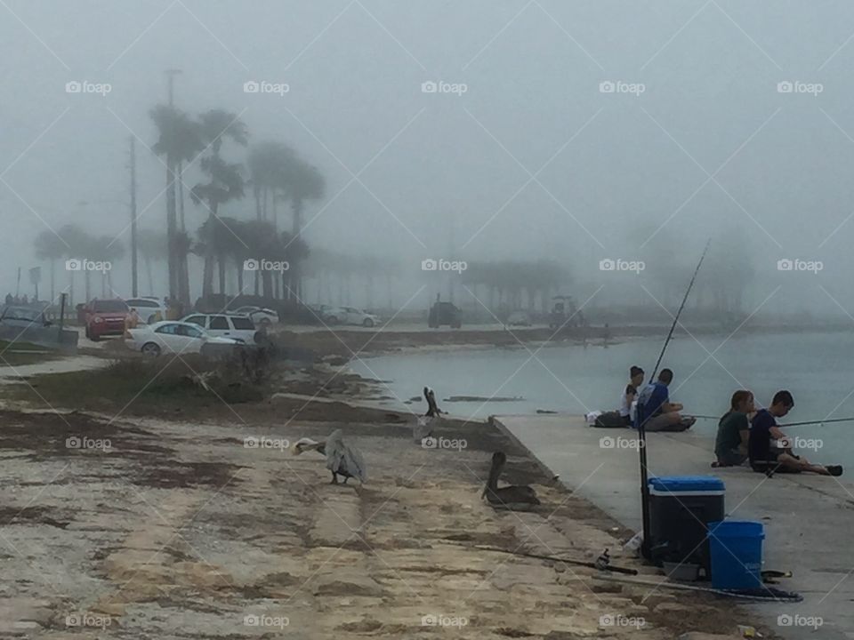 Early foggy morning on the shore with pelicans and fishermen 