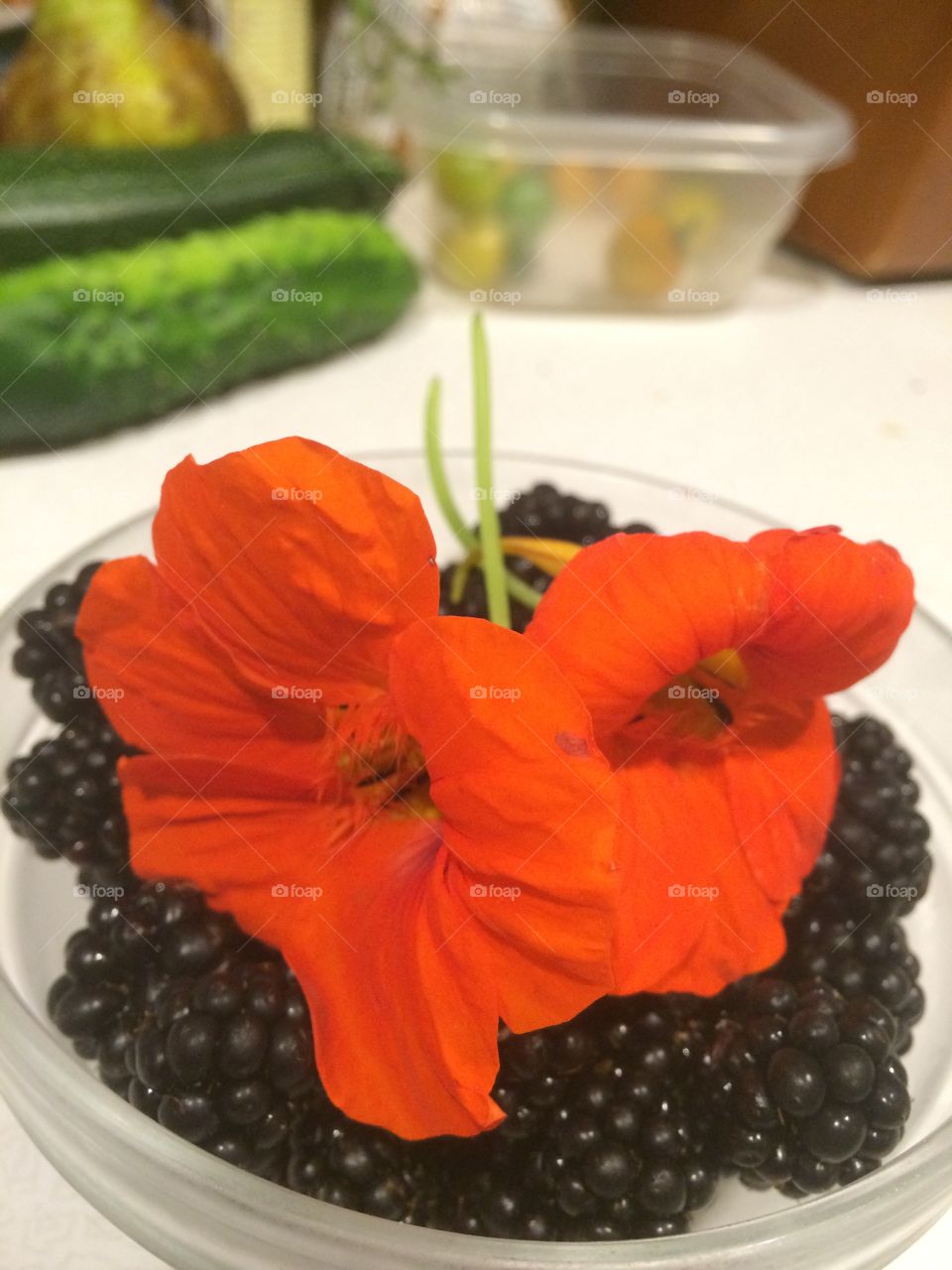 Nasturtiums and blackberries 