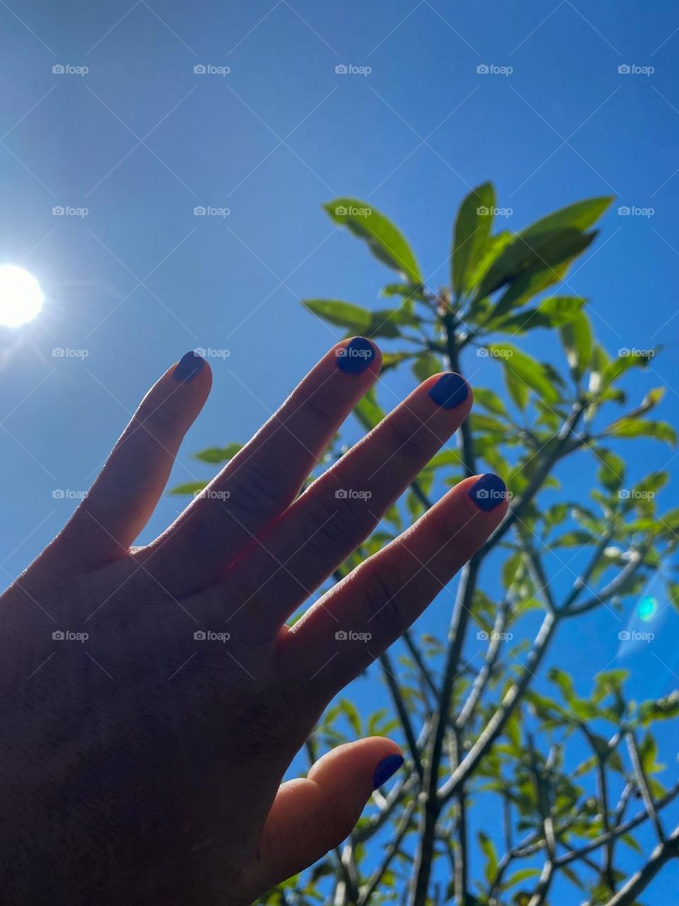 View from the ground 