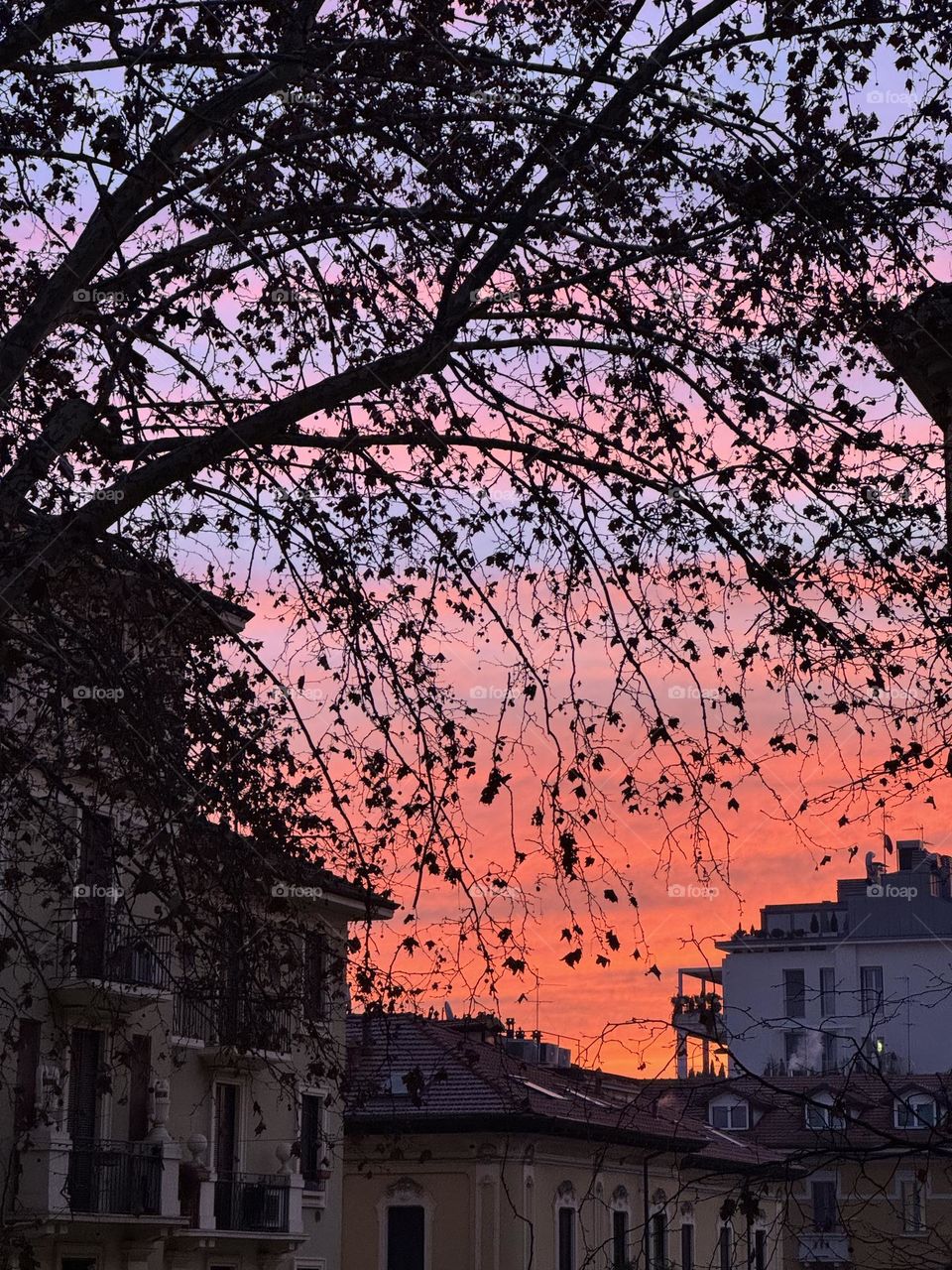 Winter sunrise in the city, Milan, Jenuary