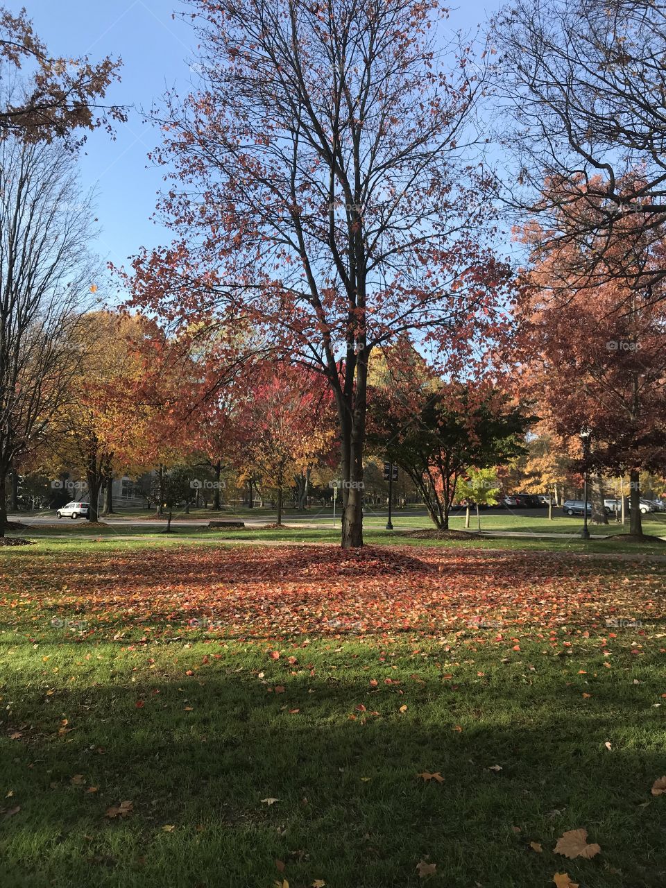 Fall time in the Midwest 