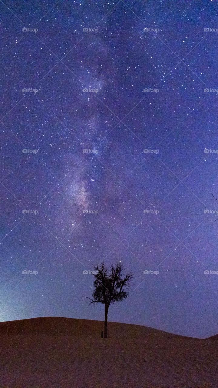 Milky way in the desert at night