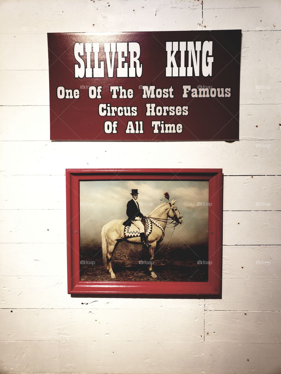 silver king