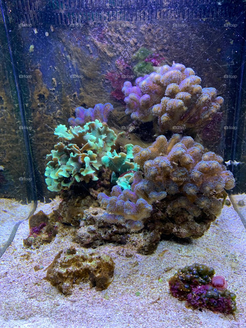 Aquarium Nausicaa 