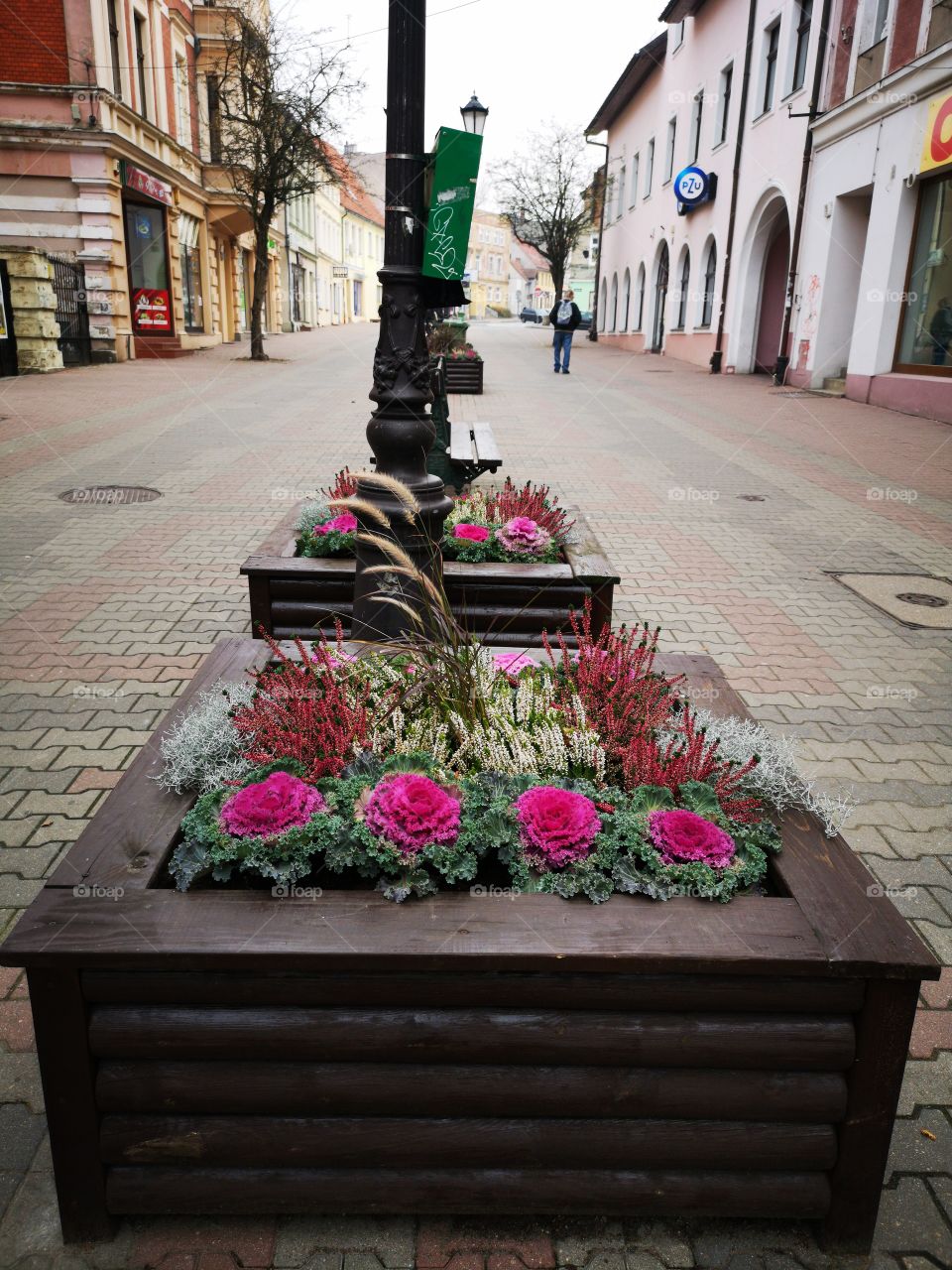 Streets of Zielona Góra. Poland