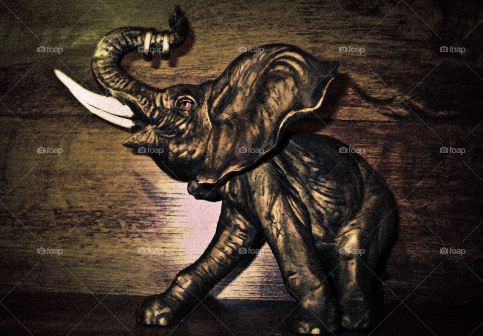 Elefante