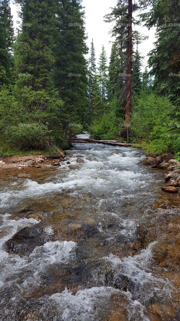 Colorado stream