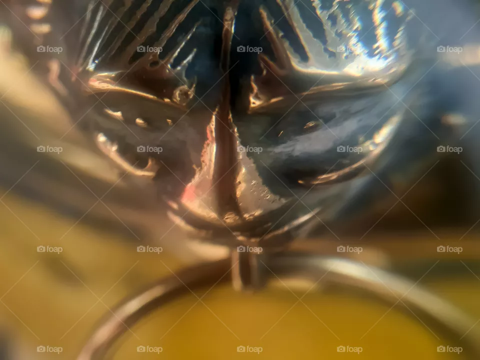 face