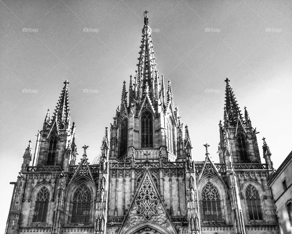 cathedral of Barcelona