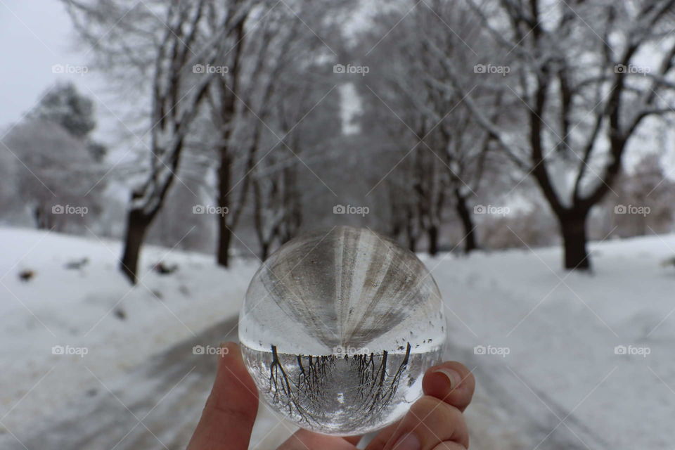 "As Above , So Below
As Within, So Without
As The Universe,
So The Soul."