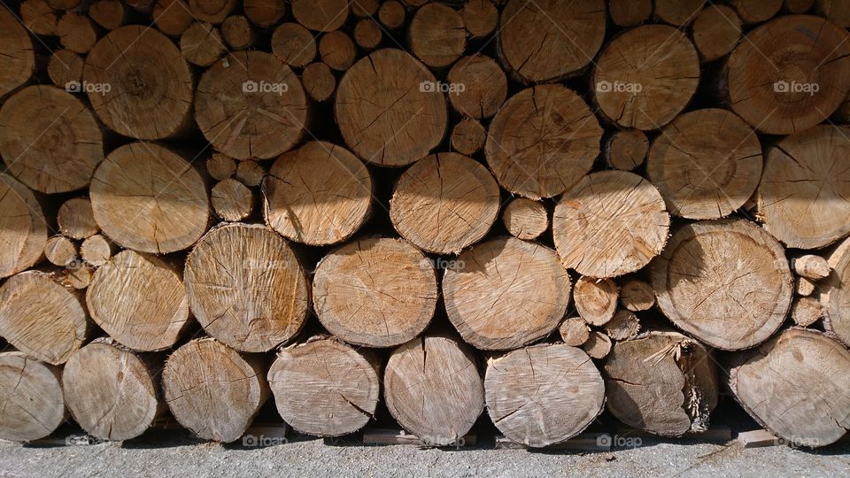 Wood pile of logs