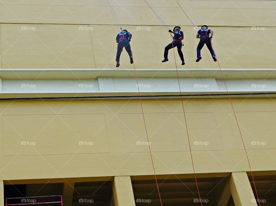 Firefighters at work - From the ground up - What the world looks like from a “frogs perspective