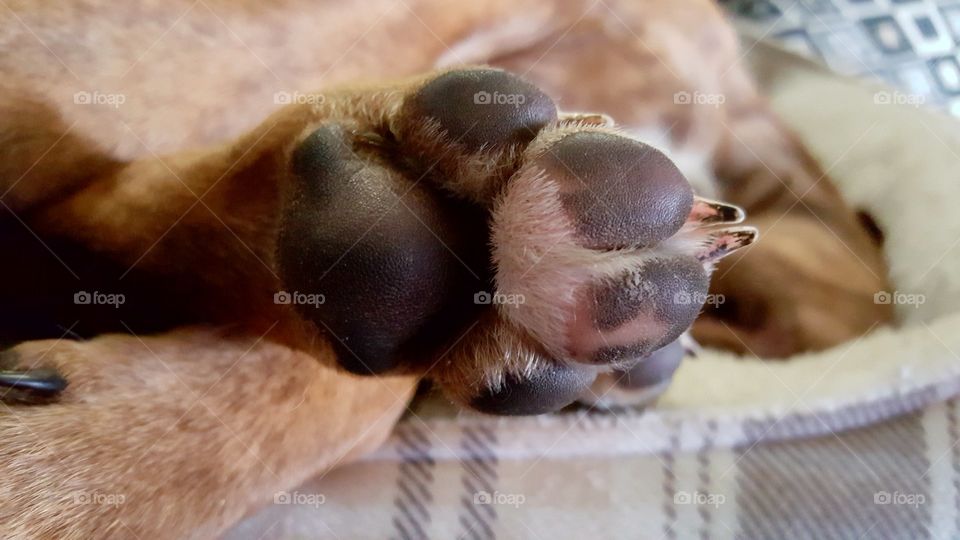 Beautiful macro shots