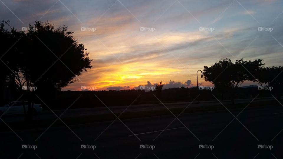 Sunset, Dawn, Landscape, Tree, Evening