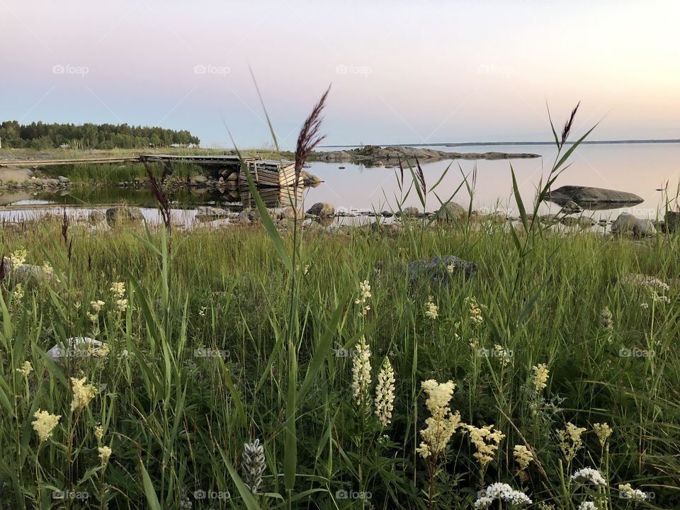 Nordic summer light 