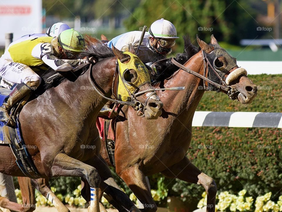 Raing from Belmont Park by Fleetphoto.net