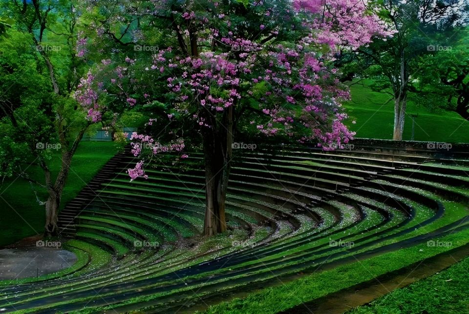 beautiful place of sri lanka