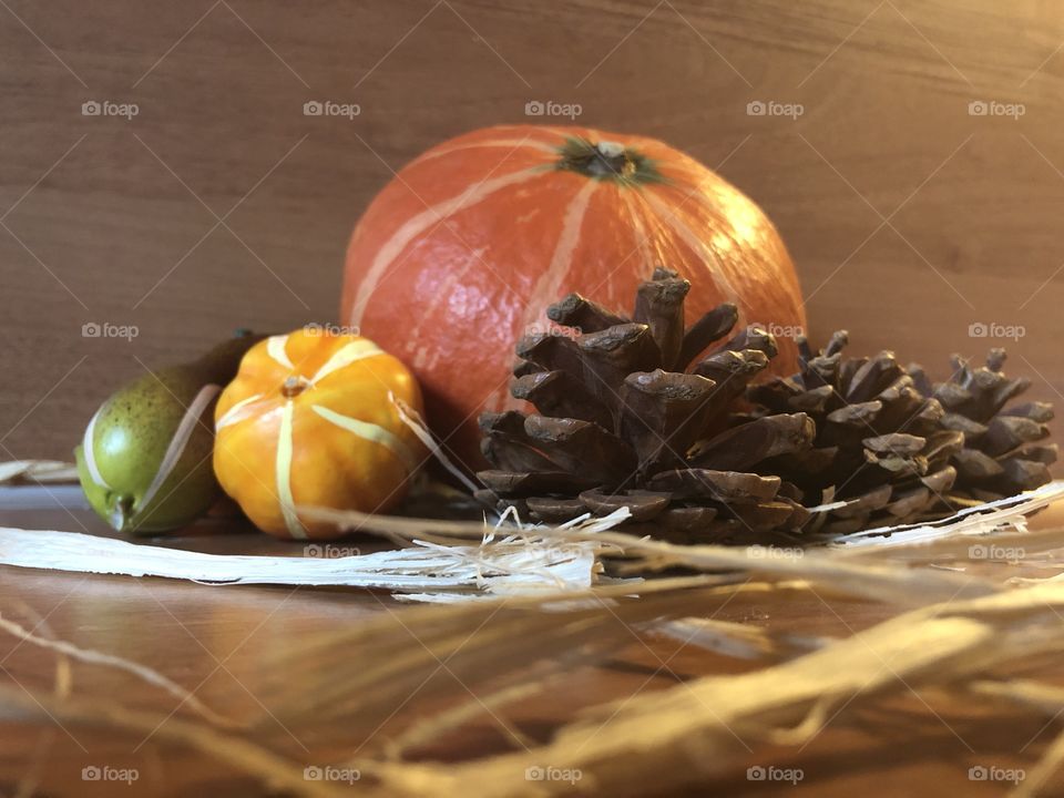 Pumpkin season