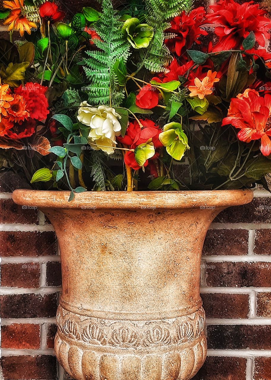 Autumn's Finest Colors