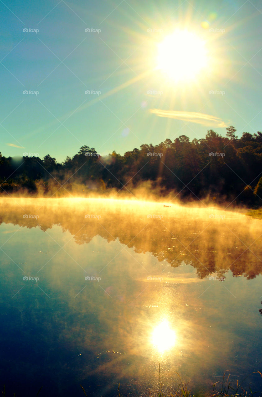 Sunlight and trees reflected on lake