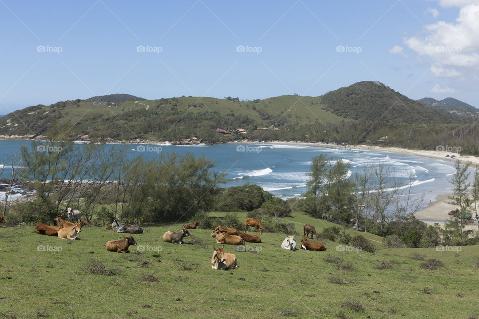 Ouvidor Beach in Santa Catarina Brazil.