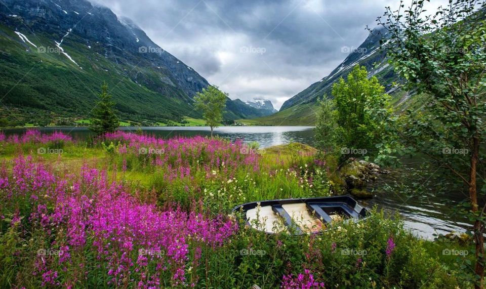 Beautiful landscape scene with a body of water, mountains, and wildflowers. The water is calm and reflective, reflecting the cloudy sky above. The overall tone of the image is one of beauty and natural wonder.