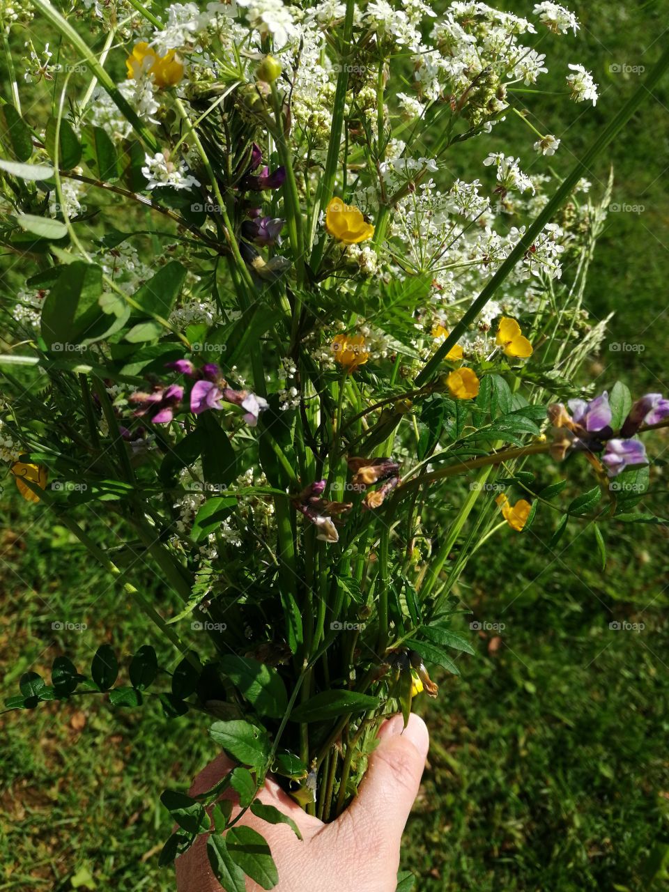 I picked wildflowers this weekend 😀