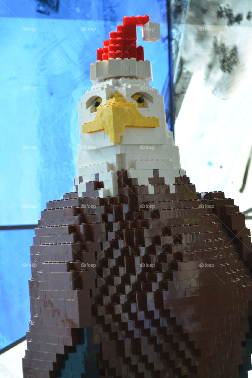 Eagle Legos