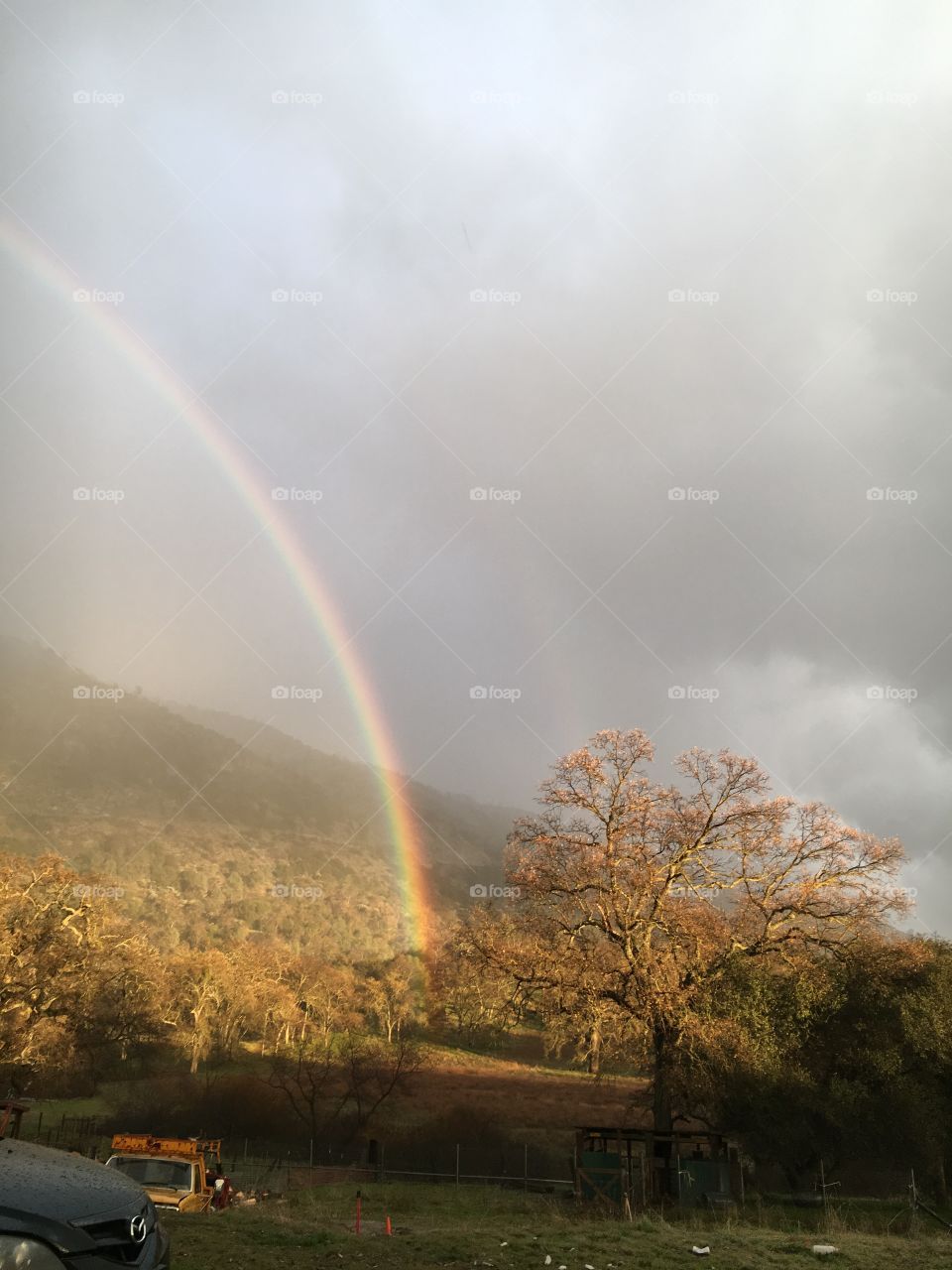 Lovely rainbow in the field 🌈 