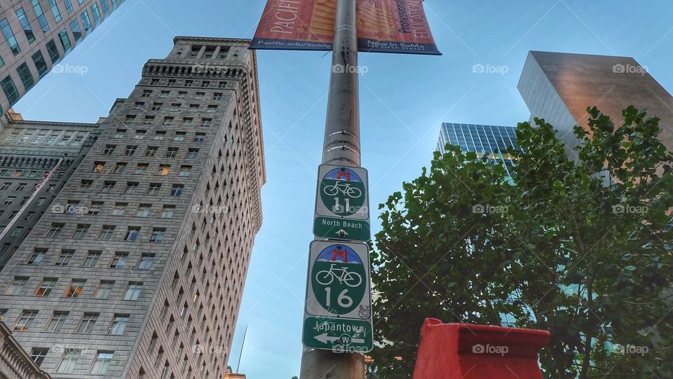 North Beach or Japantown, where shall we visit next? Decision, decisions, decisions!