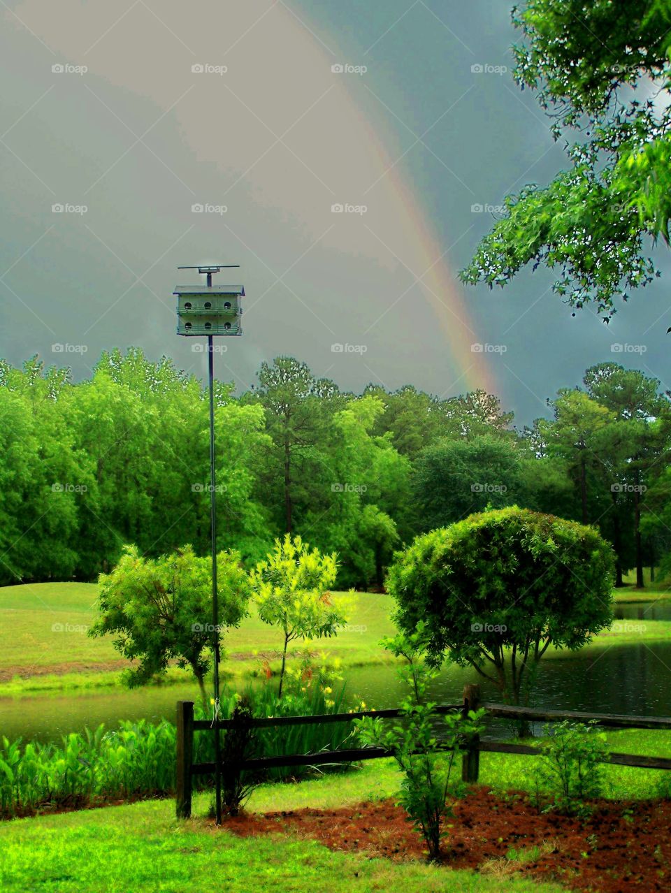 Rainbow Birdhouse 