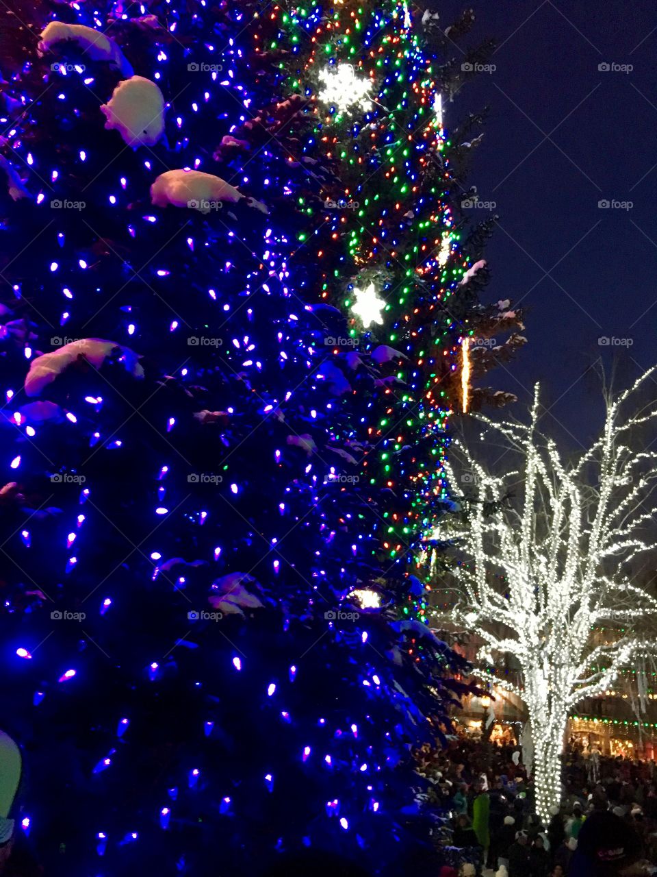 Christmas celebration. 