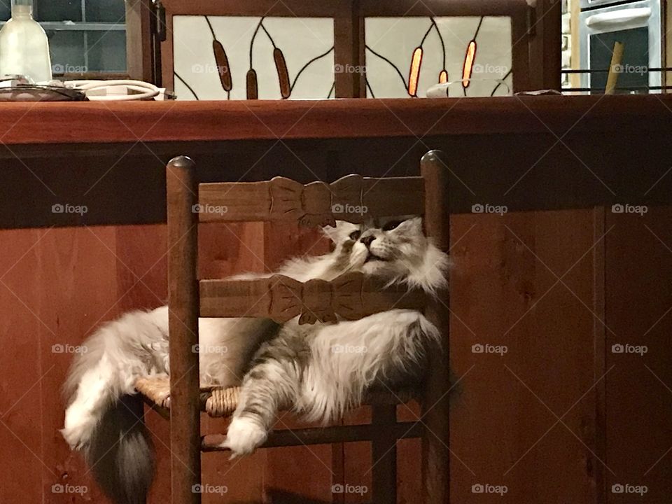 One too many at the bar ......