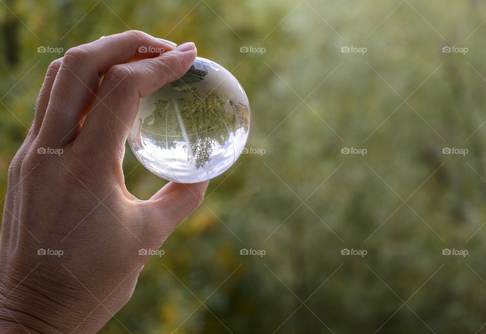 transparent globe in hand