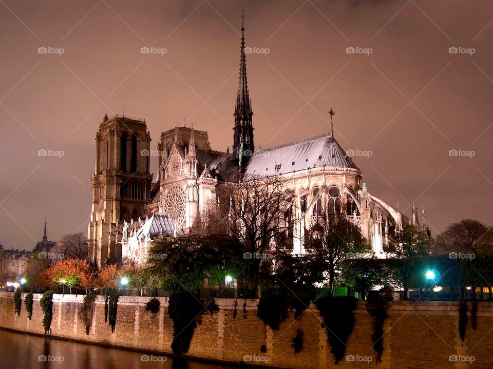 Notre Dame. Notre Dame at night, Paris