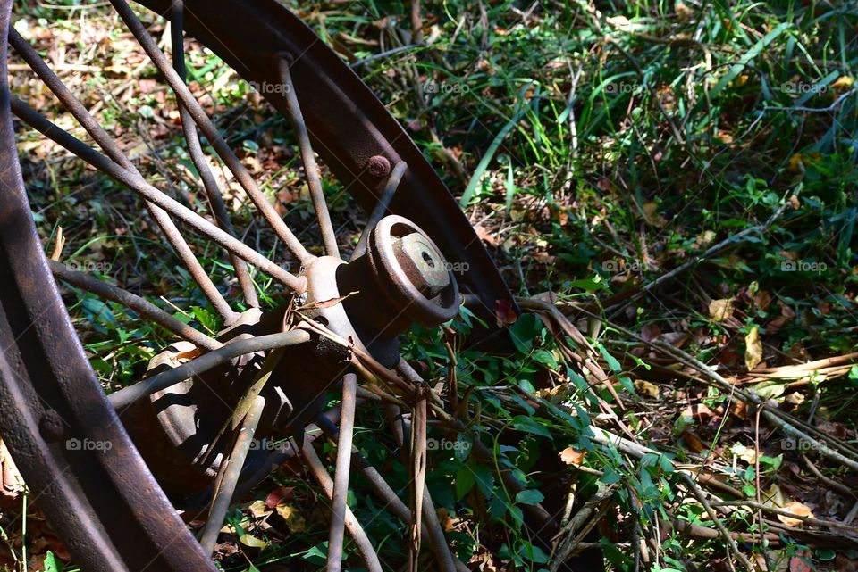 Old wheel frame at Vine Mansion in GA. Located in the Whimsical Garden.