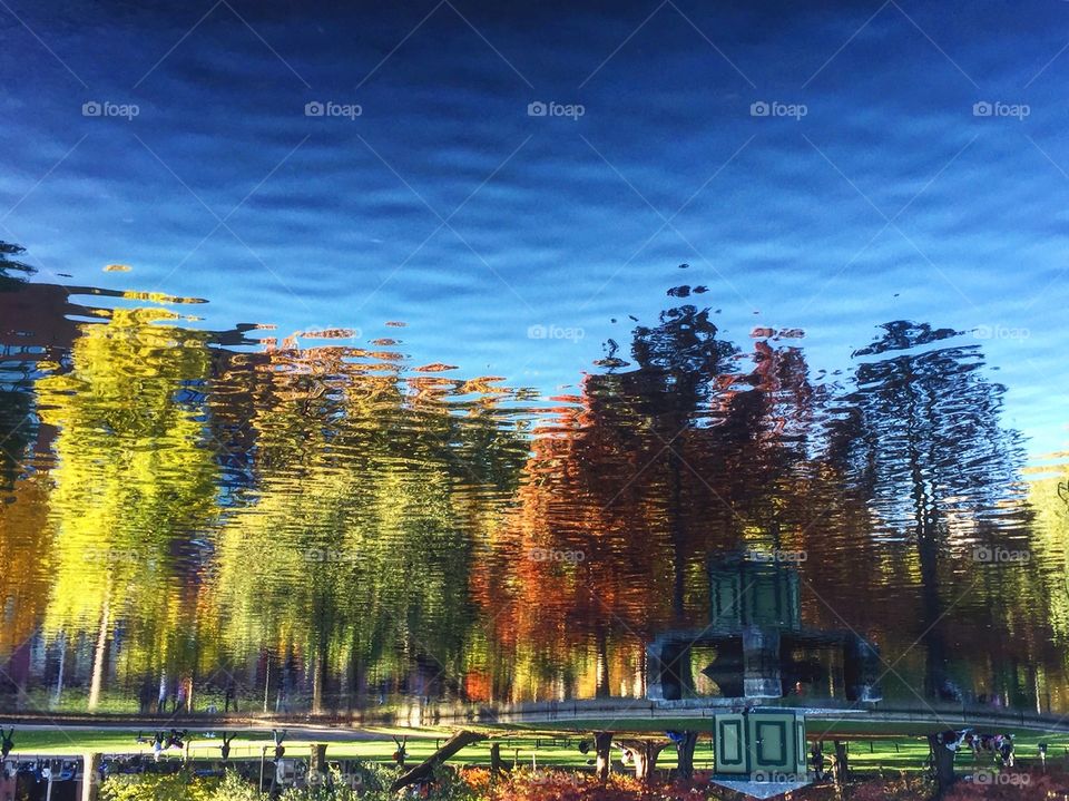 Reflection of autumn trees in idyllic lake