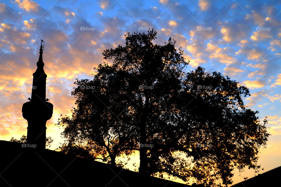 sunset behind mosque and tree